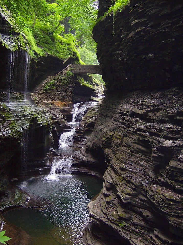 Stream creek water