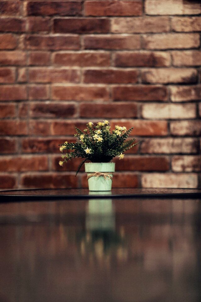 Flowers Pat