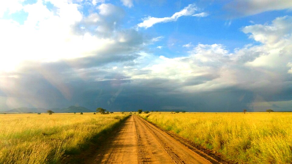 Africa Serengeti