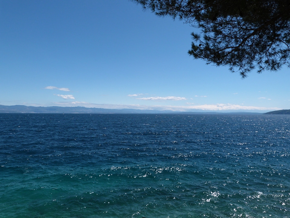 Ocean rivers clear