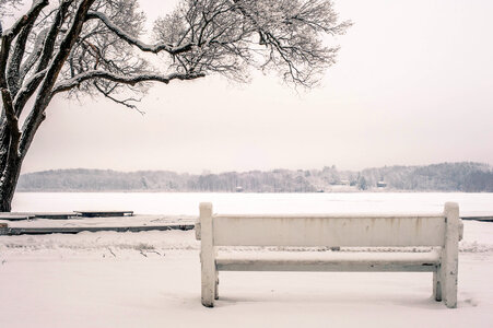 Snow Bench photo