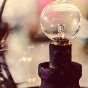 Rustic Lightbulb photo