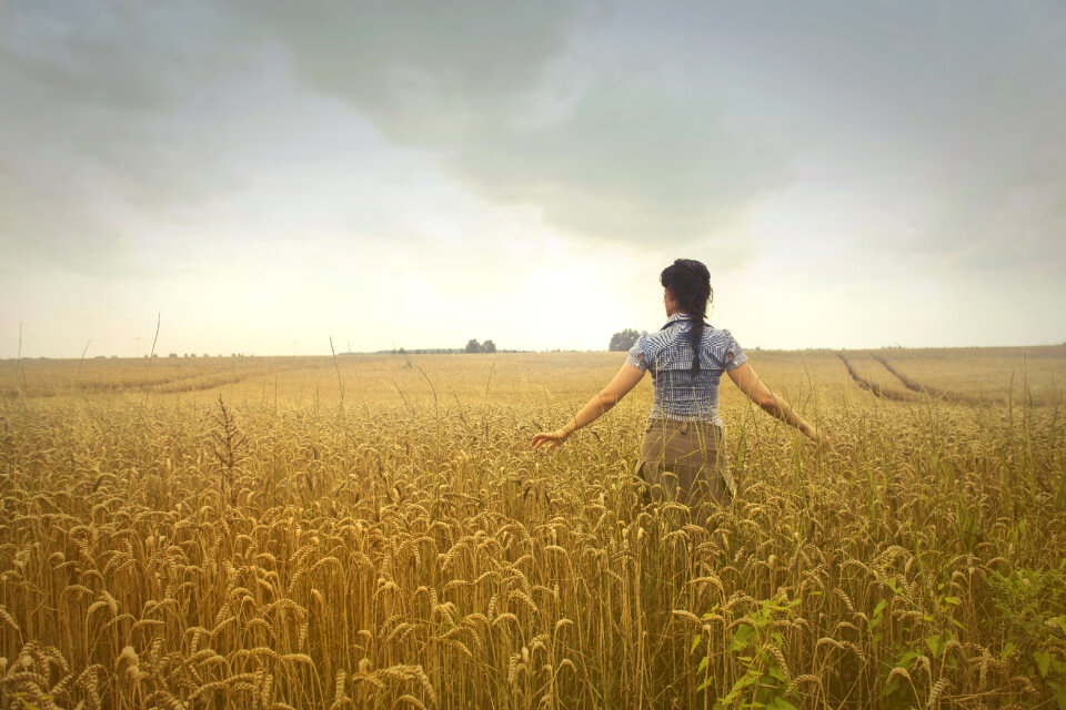 Farm Field photo