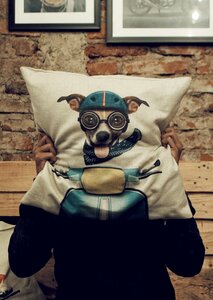 Dog Cushion photo