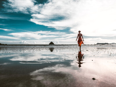Travel Dream