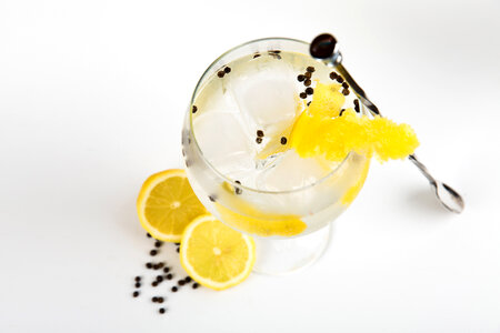 Gin Cocktail photo