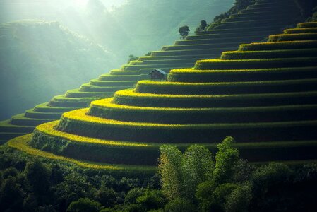 Village Agriculture
