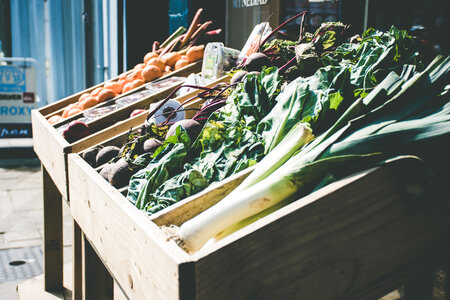 Outdoor Vegetable photo