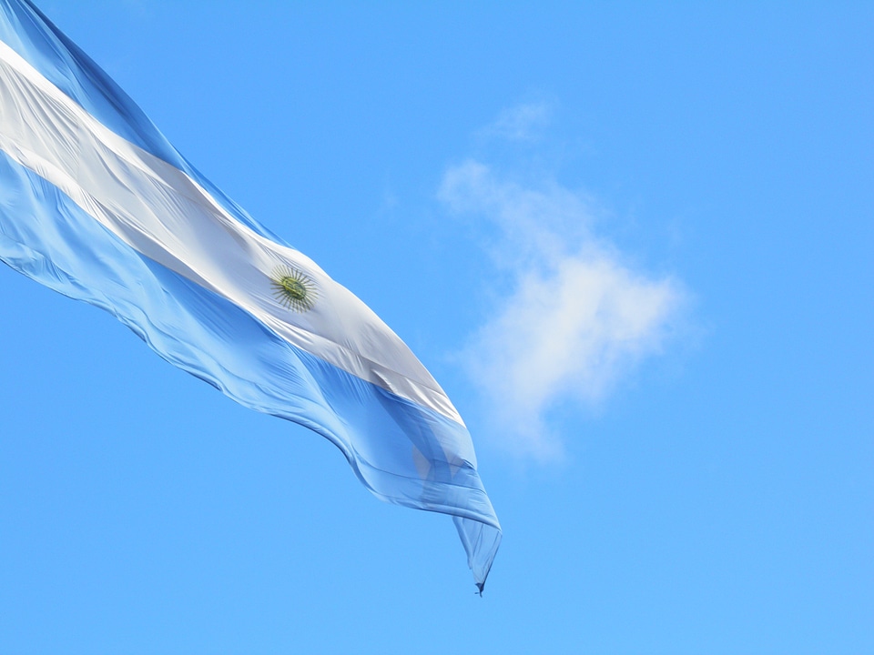 Flag argentina celeste