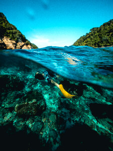 Snorkeling Ocean photo
