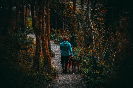 Woman Hike photo