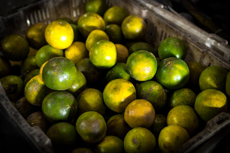 Mandarin Market photo