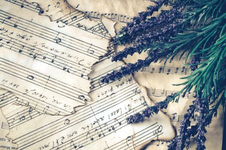 Sheet Music Vintage