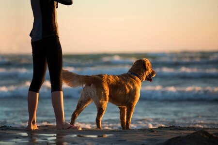 Woman Dog photo