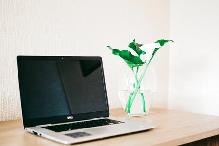 Laptop Desk photo