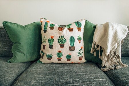 Cactus Interior photo