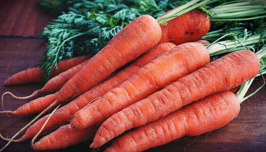 Carrot Vegetables photo