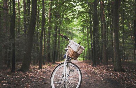 Vintage Bike