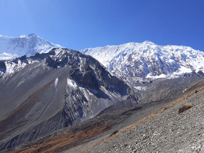 Nature Himalayas photo