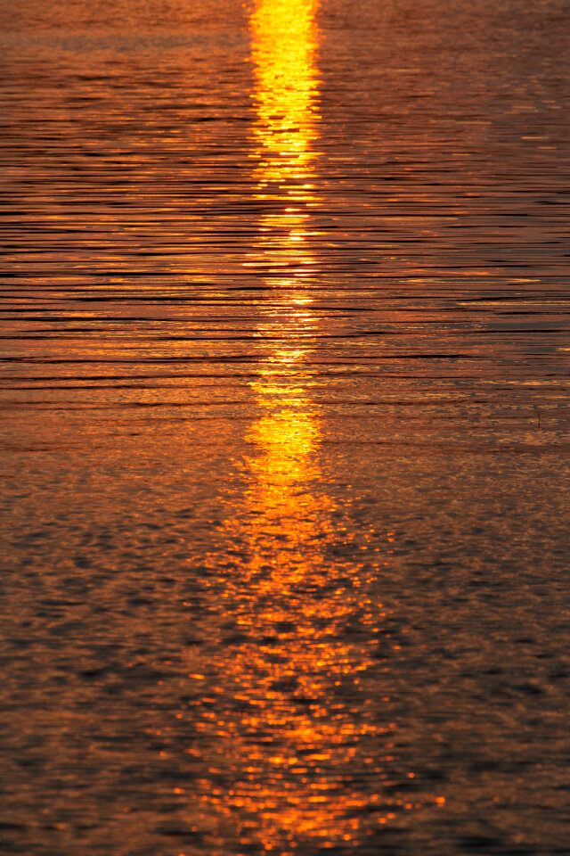 Water Sunset