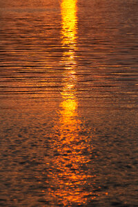 Water Sunset photo
