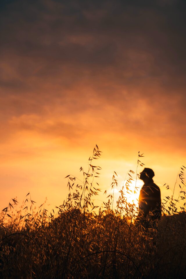 Sunset Silhouette