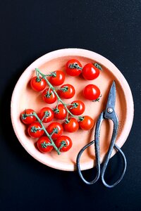 Plate Flat Lay photo