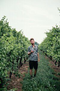 Man Wine photo