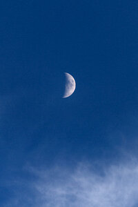 Moon Blue photo
