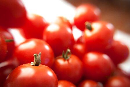 Fresh Tomatoes photo