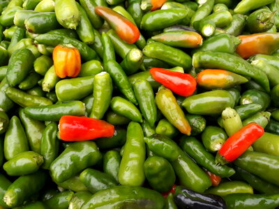 Food Peppers photo