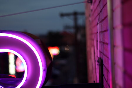 Neon Sign photo