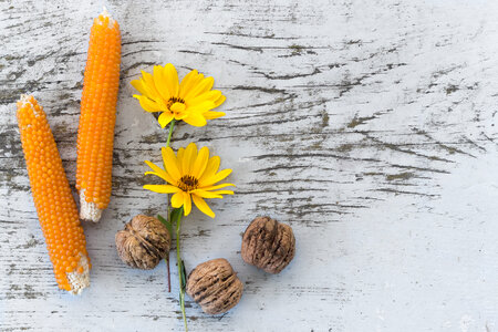 Rustic Corn photo