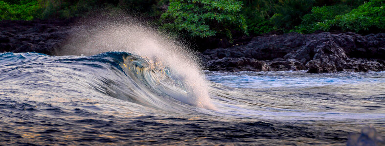 Hawaii Wave