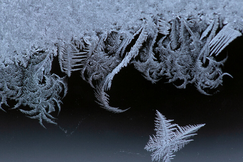 Macro Frost photo