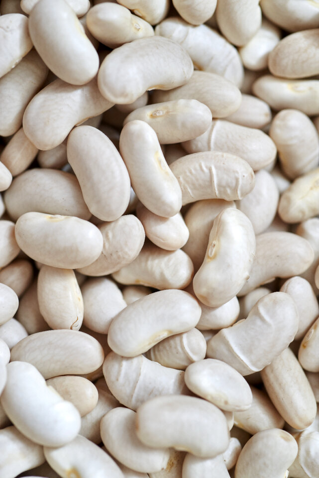 White Beans