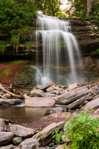 Rural Forest photo