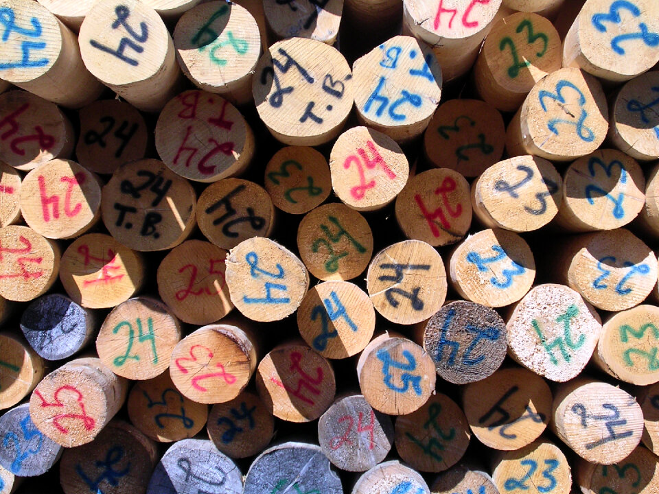 Timber Pile Of Logs