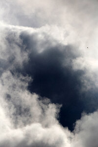 Clouds Bird photo