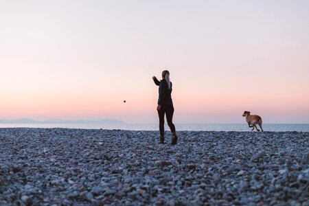 Walking Dog photo