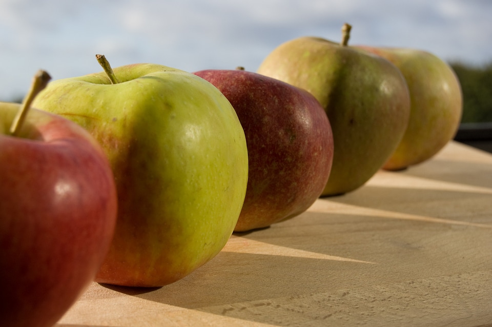 Apple fruit Free photos