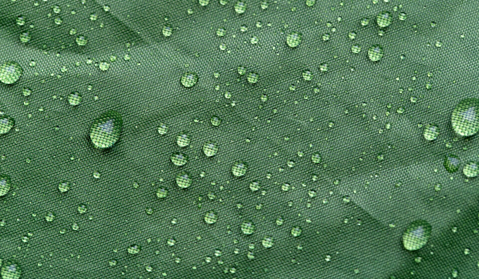 Water Droplets photo