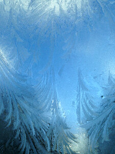 Ice Texture photo