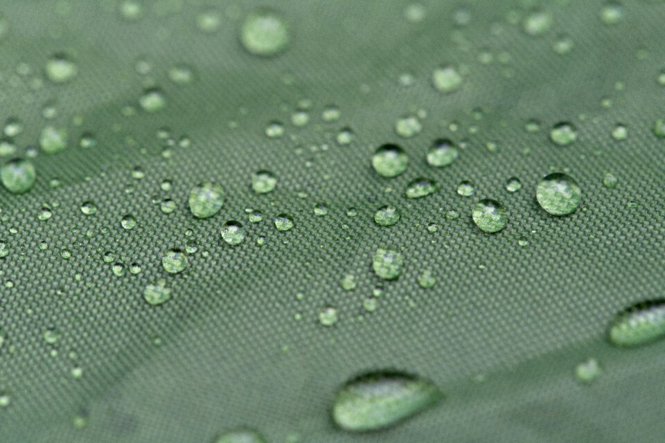 Water Droplets photo