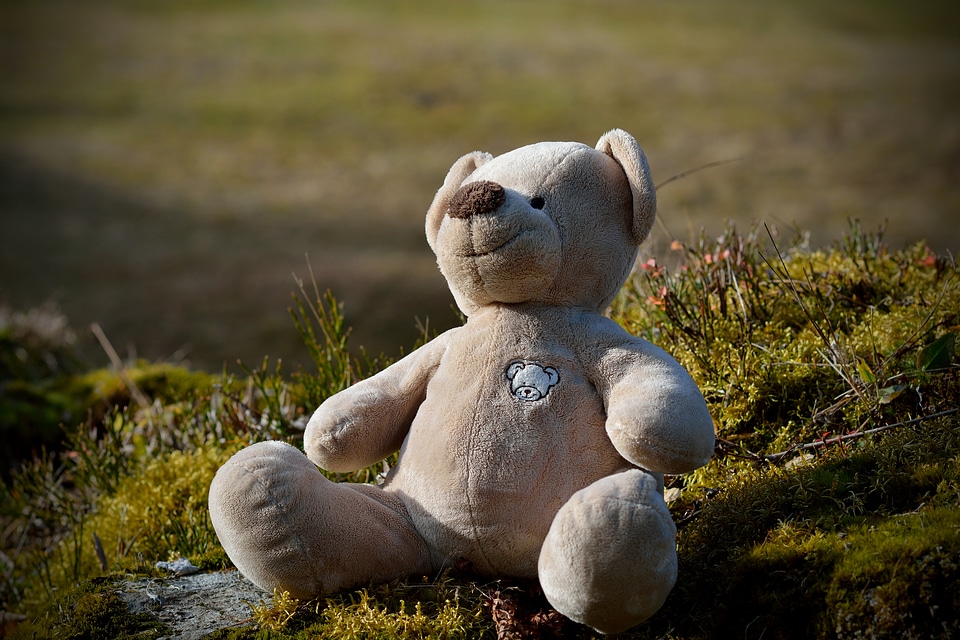 Stuffed animal soft toy teddy