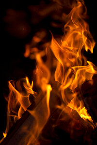 Fire Wood photo