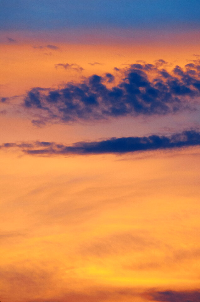 Sunset Pink