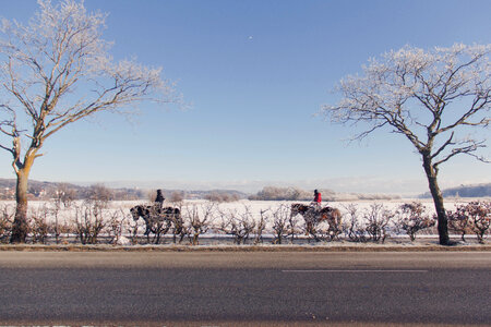 Horse Ride photo