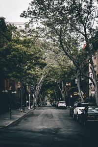 City Street photo