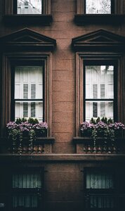 City Windows photo